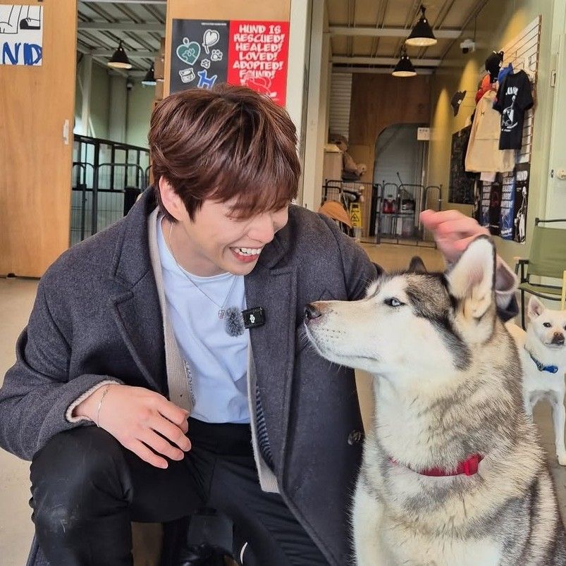 강다니엘 팬이 찍은 순간