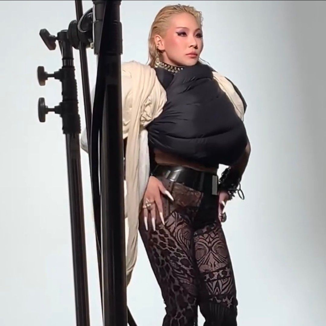 CL (2NE1)粉絲拍下的瞬間
