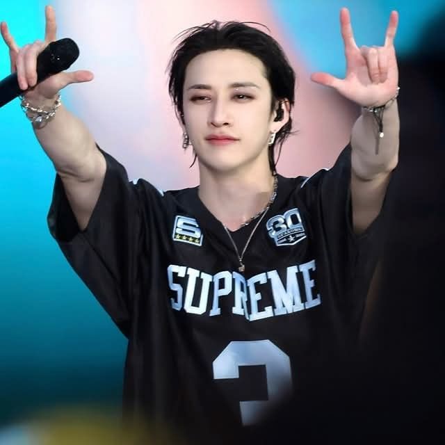 Recent activity shot of Bang Chan (Stray Kids)