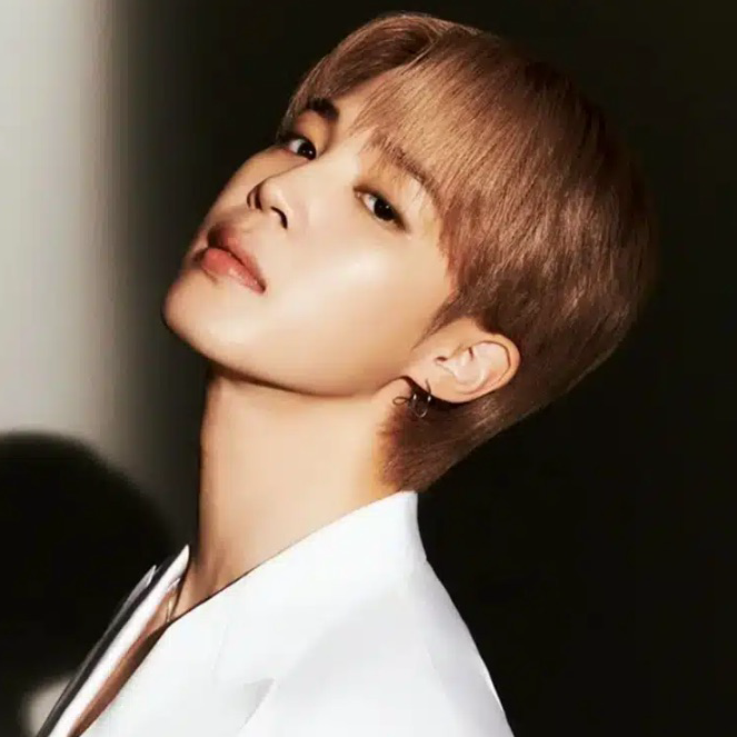 지민 (방탄소년단) 팬이 찍은 순간