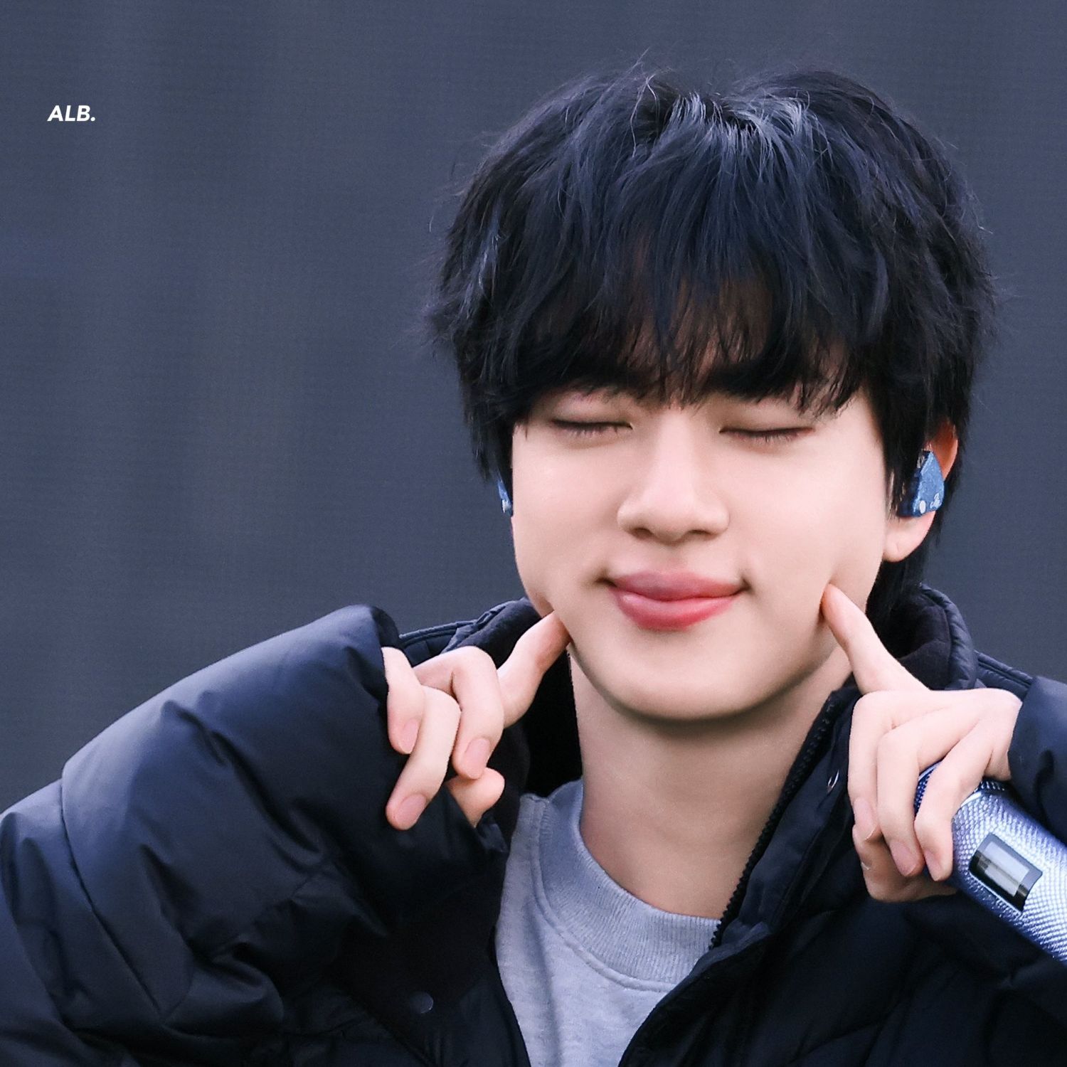 진 (방탄소년단) 팬이 찍은 순간