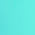 Latest photo of SAjA Boys