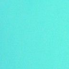 Signature photo of SAjA Boys capturing their charm