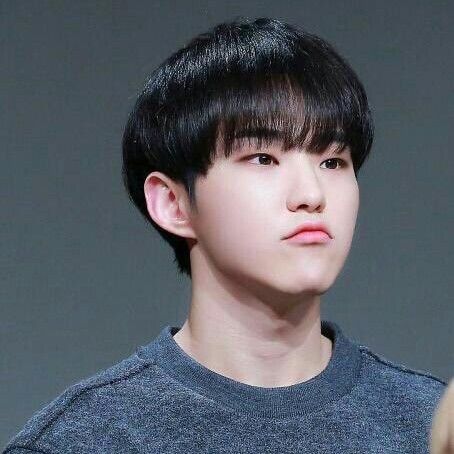 세븐틴의 최신 사진