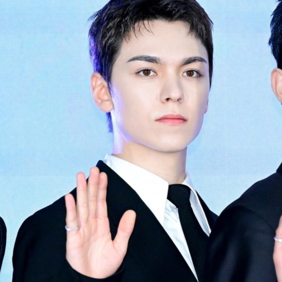A moment captured by Vernon (SEVENTEEN)'s fan