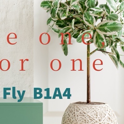 A moment captured by B1A4's fan