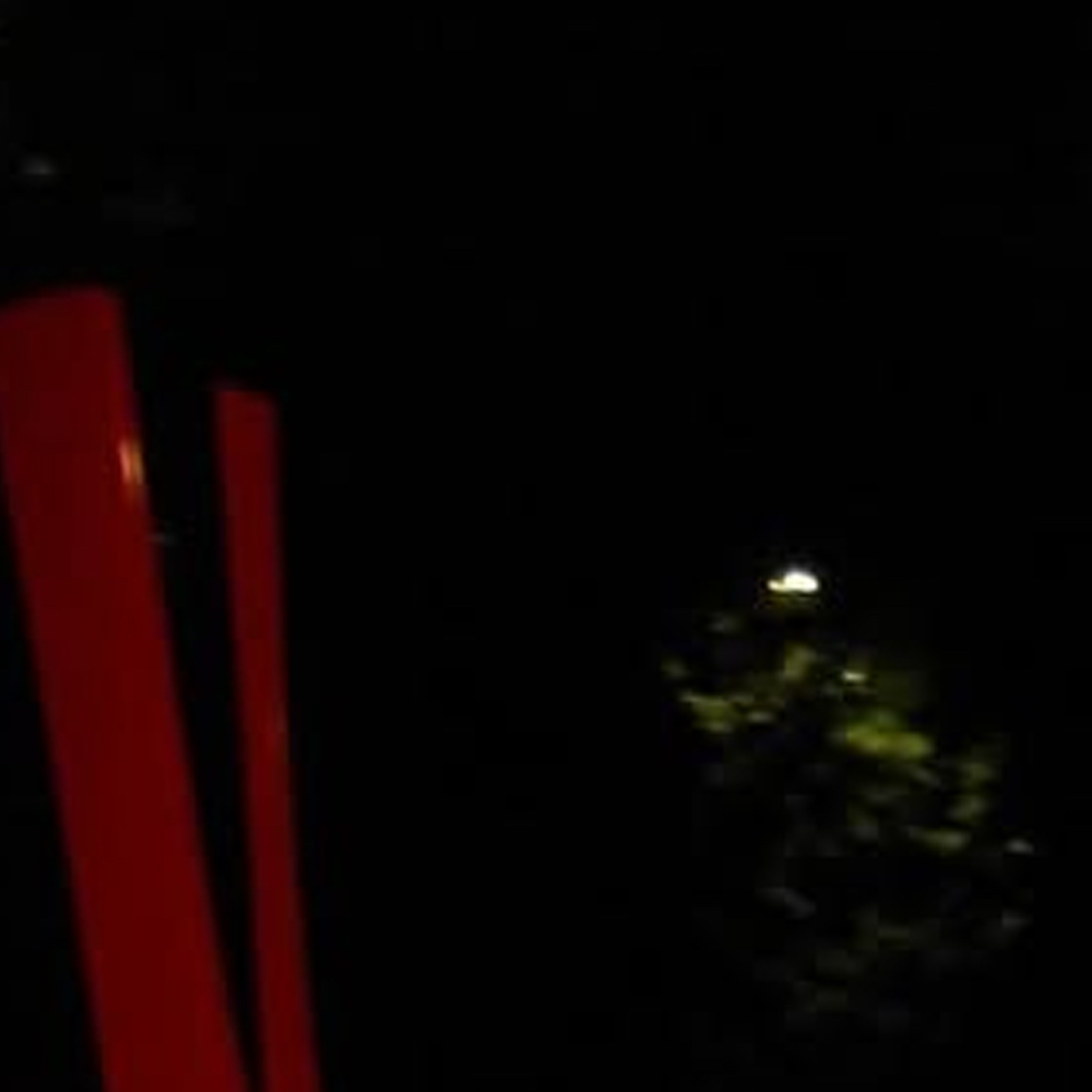 A moment captured by Choerry (ARTMS)'s fan