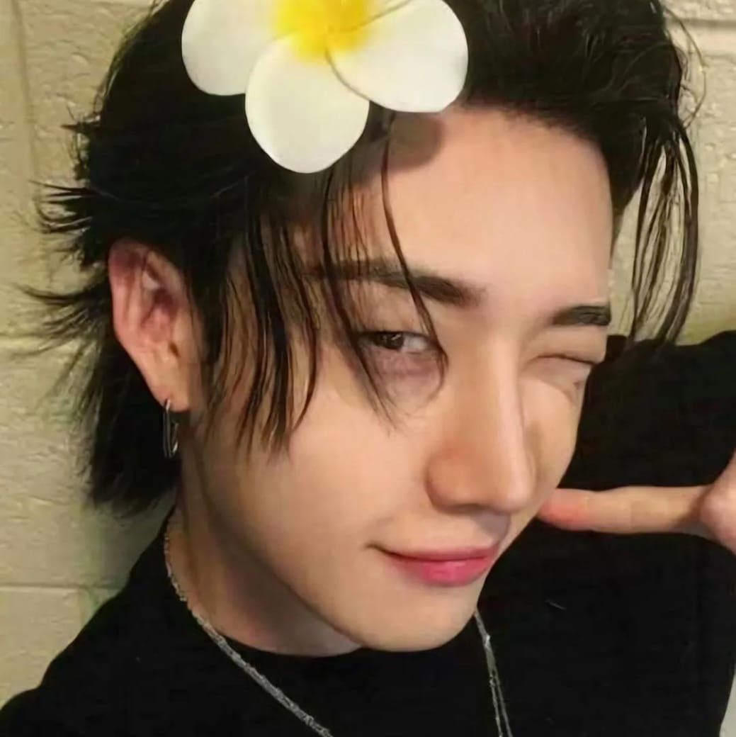 A moment captured by Bang Chan (Stray Kids)'s fan