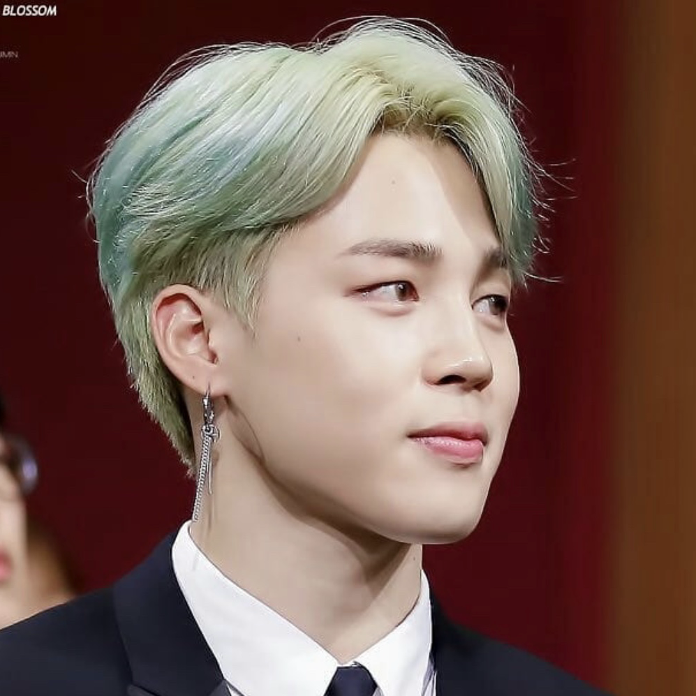 지민 (방탄소년단) 팬이 찍은 순간