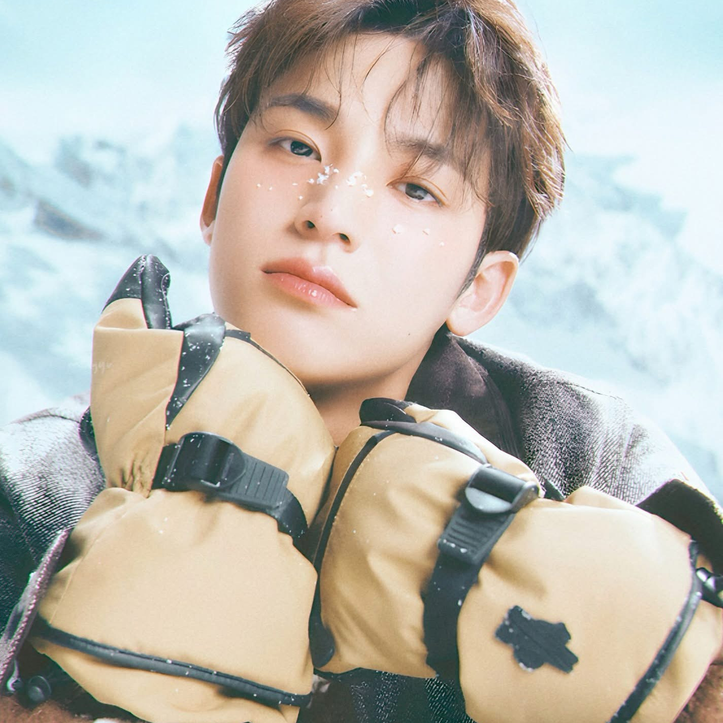 세븐틴의 최신 사진