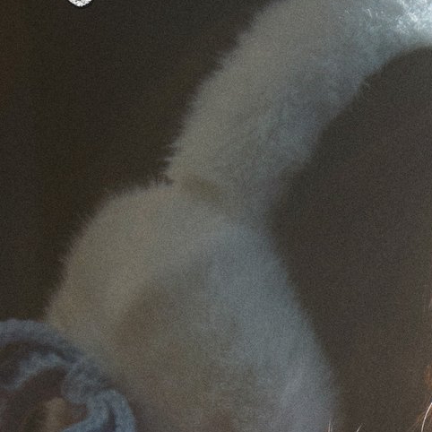 A moment captured by Chuu's fan