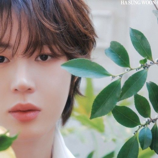 Recent activity shot of Ha Sungwoon