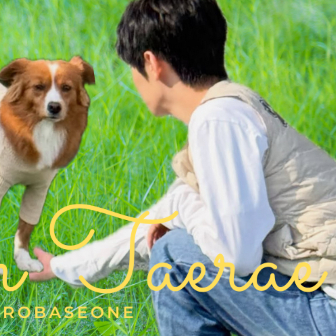 A moment captured by Kim Taerae (ZEROBASEONE)'s fan