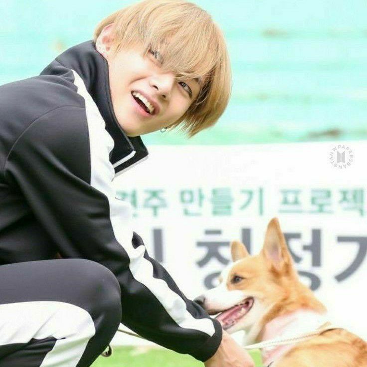 Foto terbaru V (BTS)