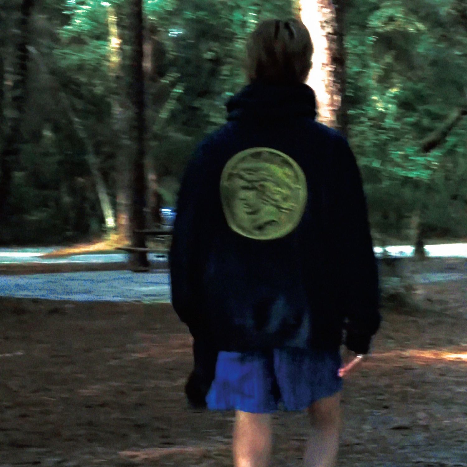 The 8 (SEVENTEEN)ファンが撮った瞬間