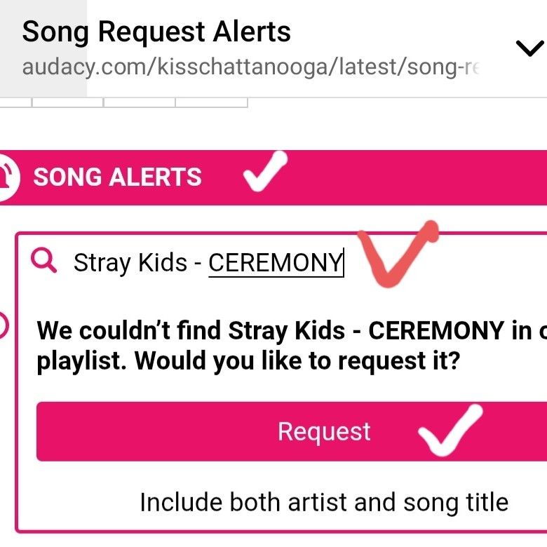 Behind-the-scenes cut of Stray Kids