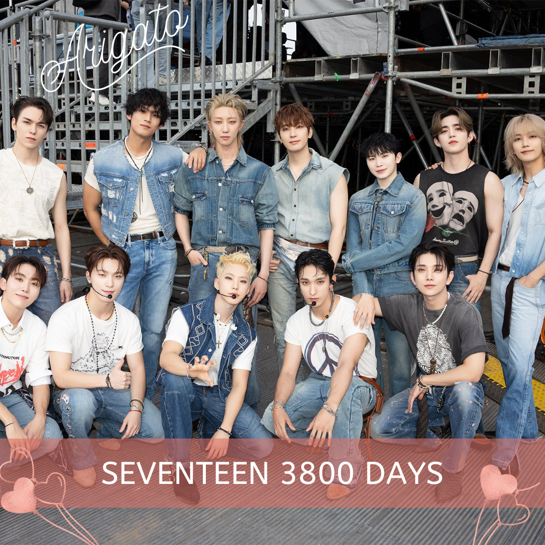 세븐틴 팬이 찍은 순간