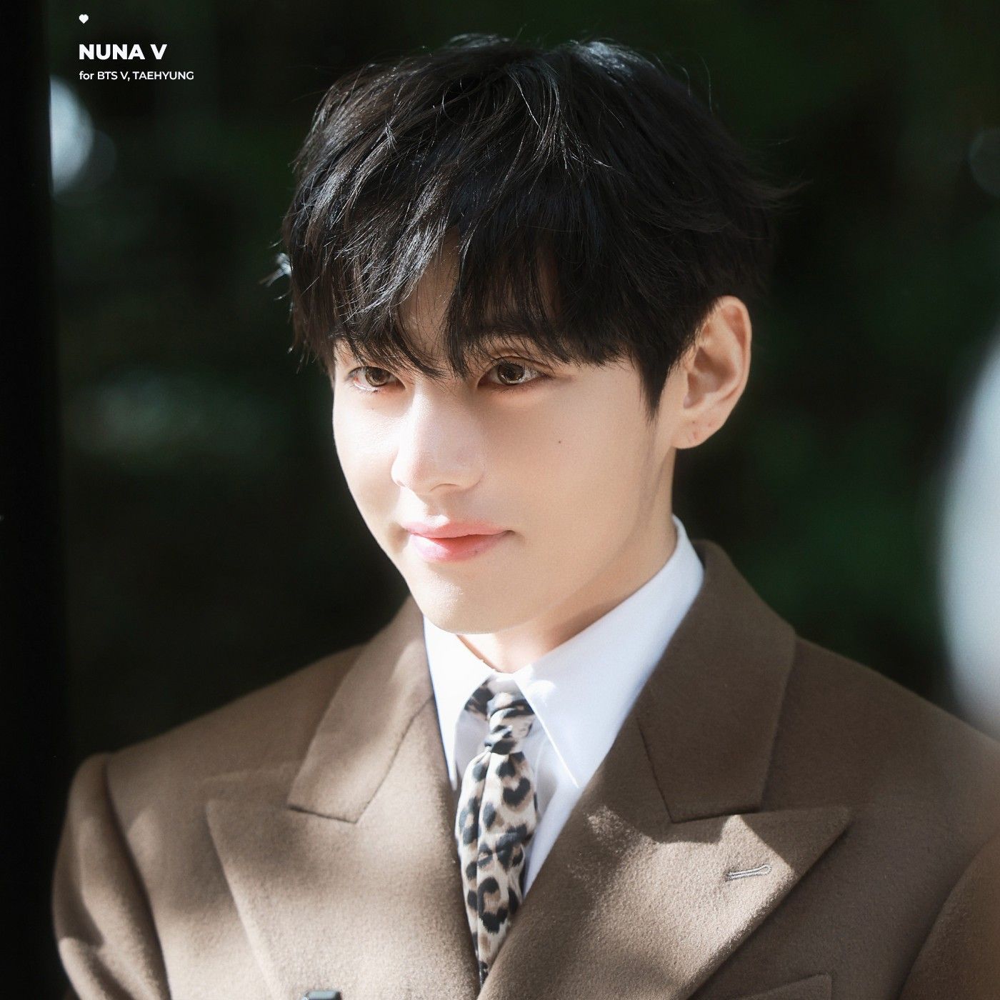 방탄소년단 팬이 찍은 순간