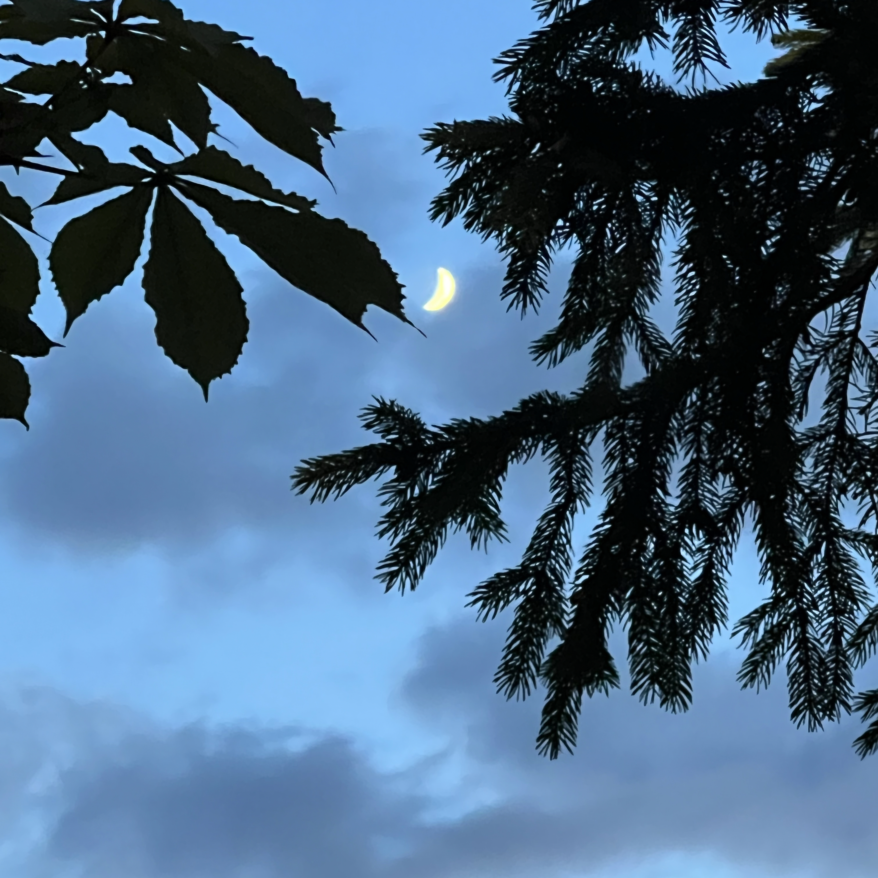 Recent activity shot of Moonbin (ASTRO)