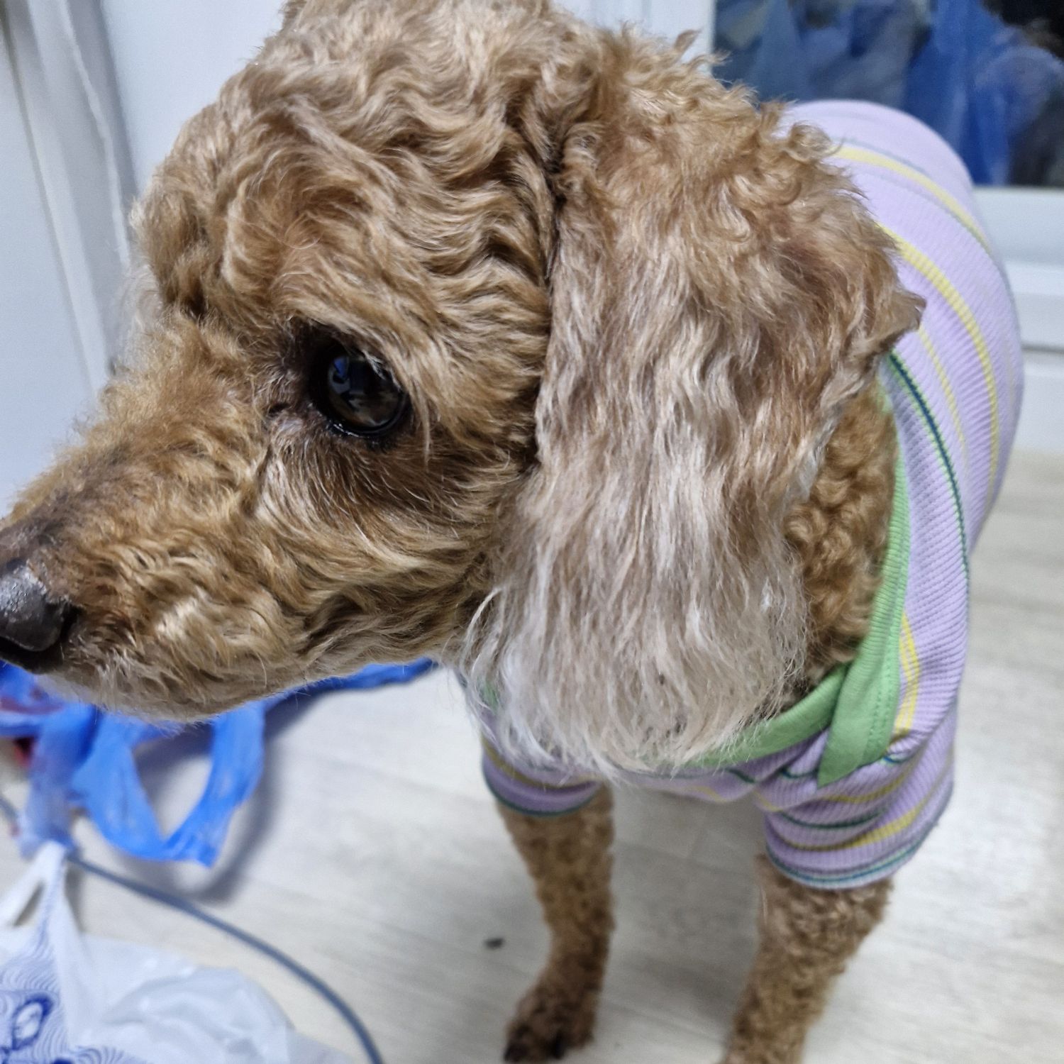 A moment captured by Moonbin (ASTRO)'s fan