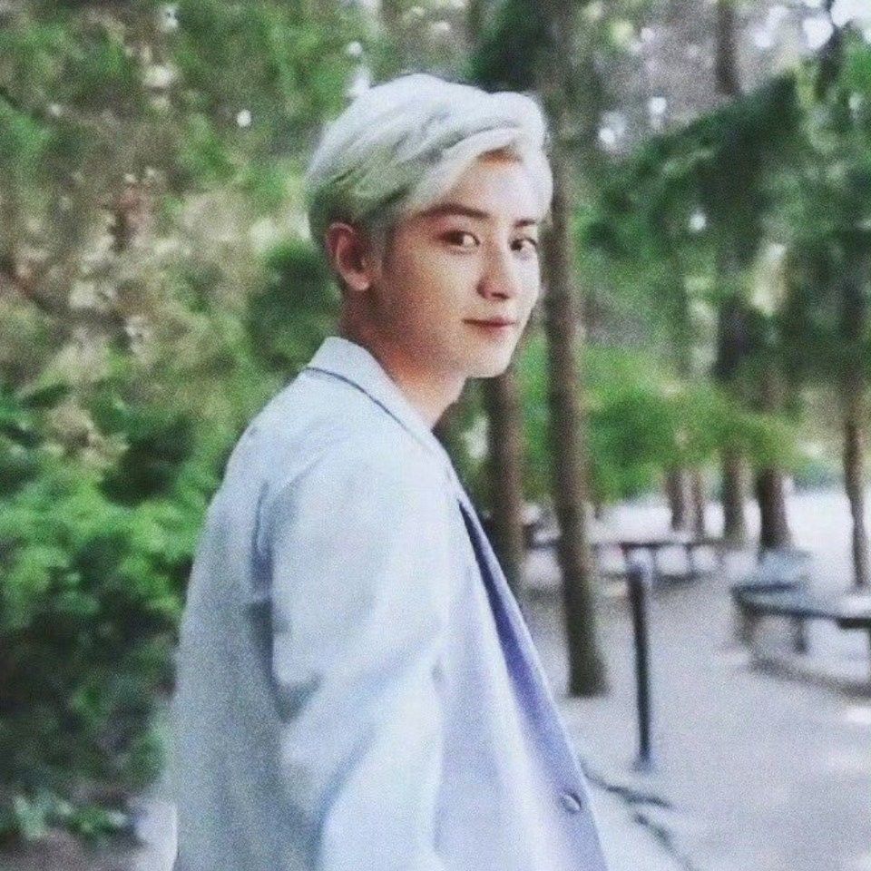 A moment captured by Chanyeol (EXO)'s fan