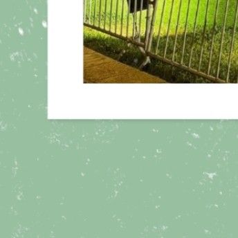 Foto terbaru SU A (DREAMCATCHER)