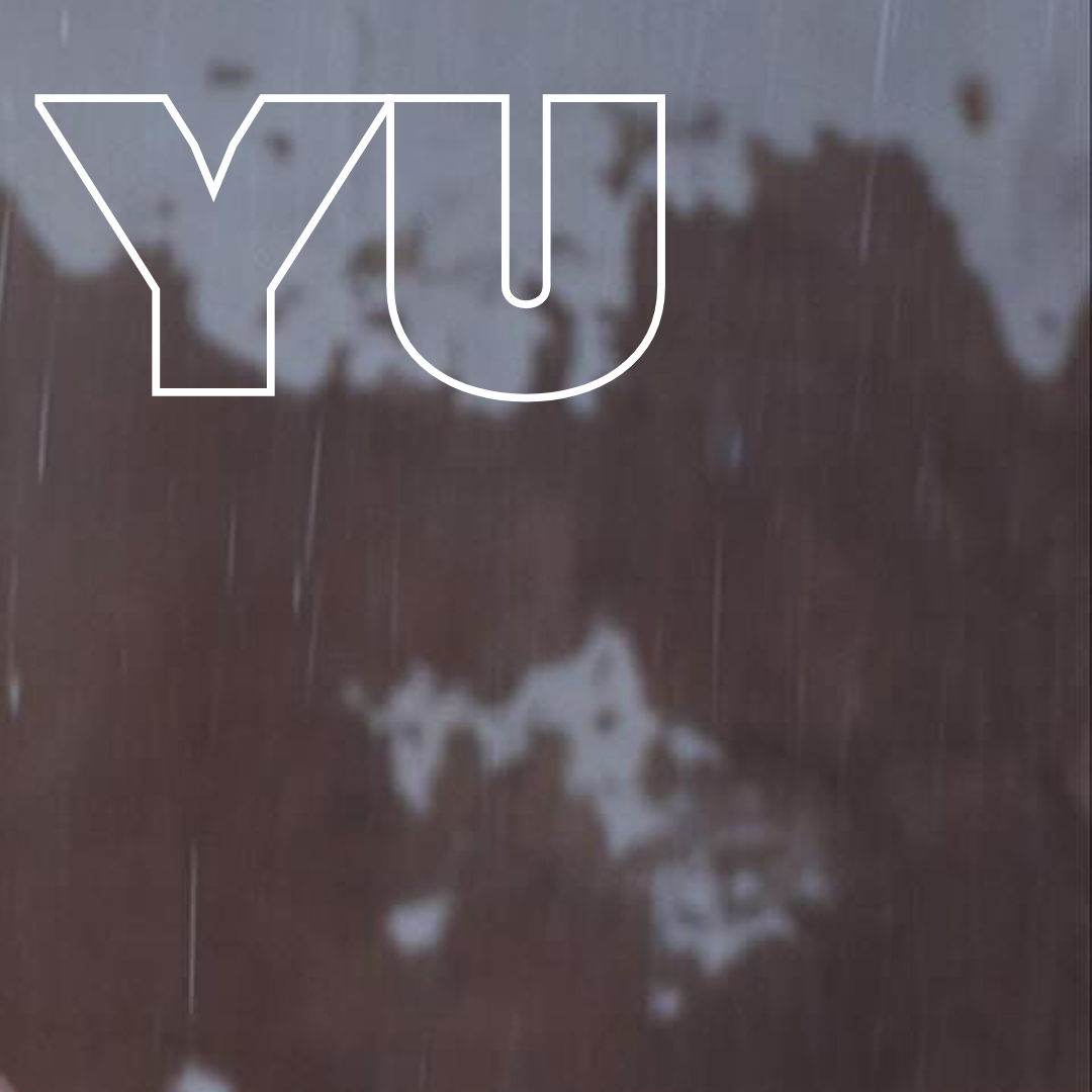 Recent activity shot of Esther Yu