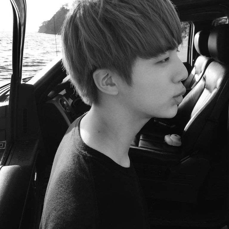 방탄소년단 팬이 찍은 순간