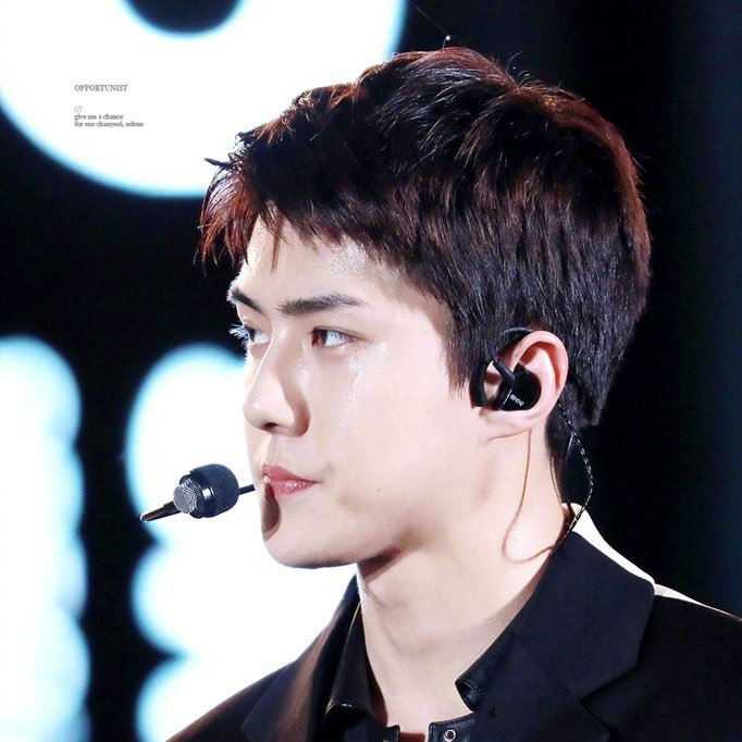 세훈 (EXO) 최근 활동샷