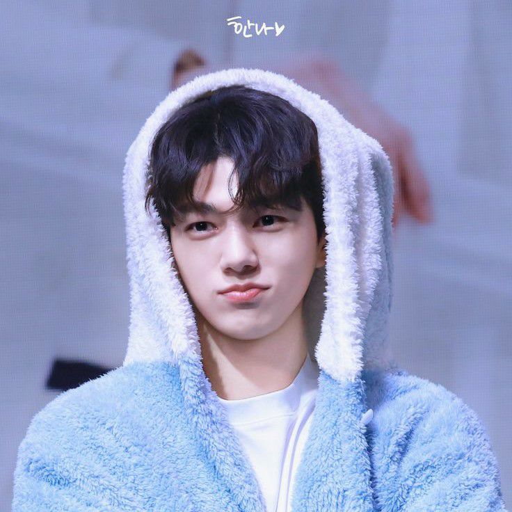 A moment captured by L (INFINITE)'s fan