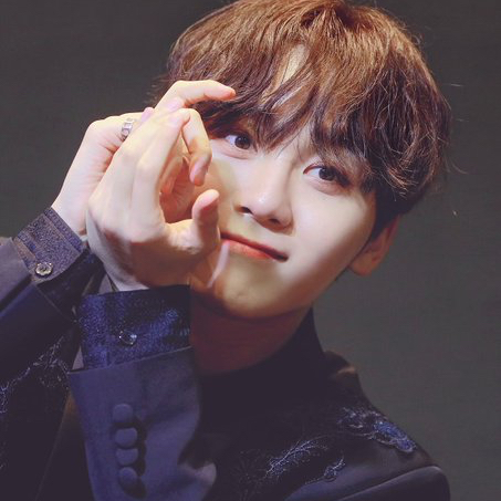 세븐틴 팬이 찍은 순간