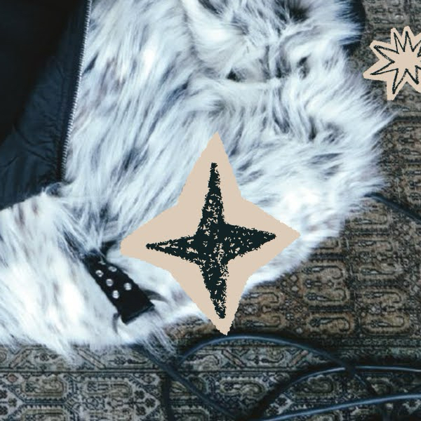 Latest photo of HAN (Stray Kids)