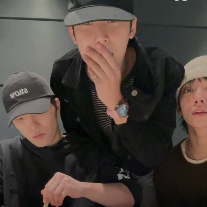 세븐틴 팬이 찍은 순간