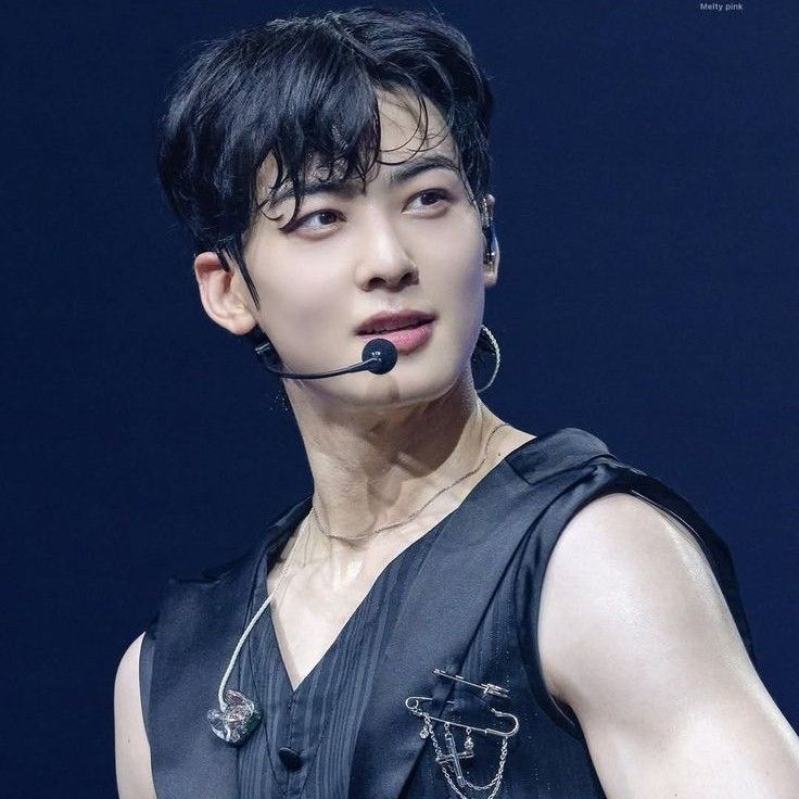 아스트로 팬이 찍은 순간