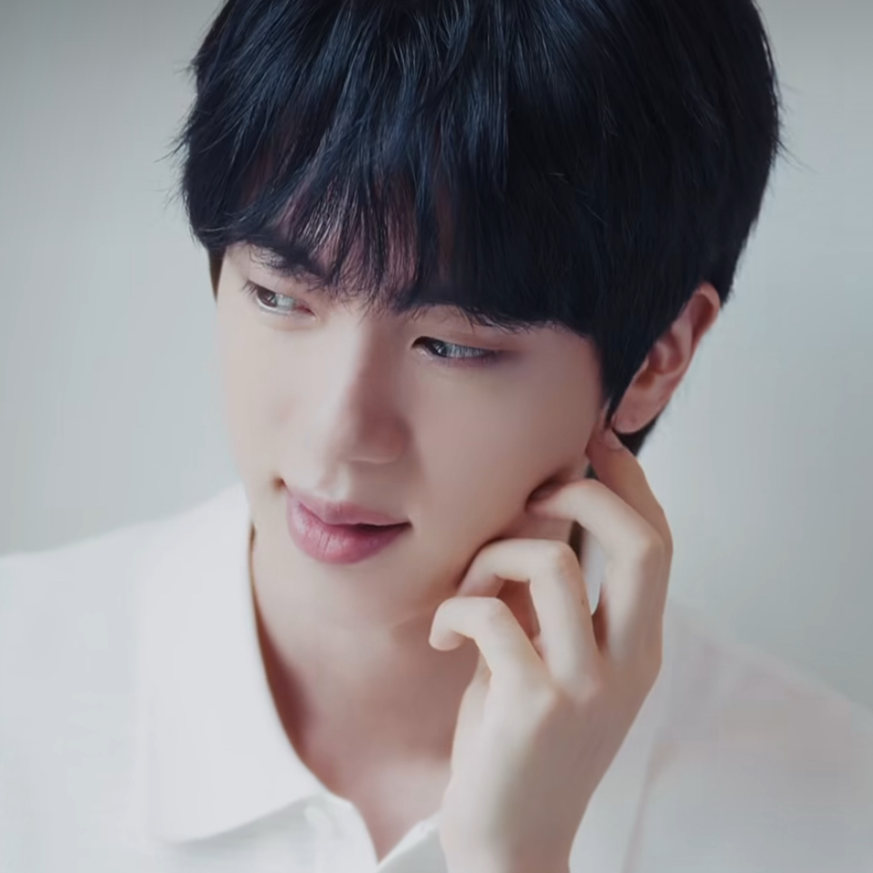 Jin (防彈少年團)粉絲拍下的瞬間
