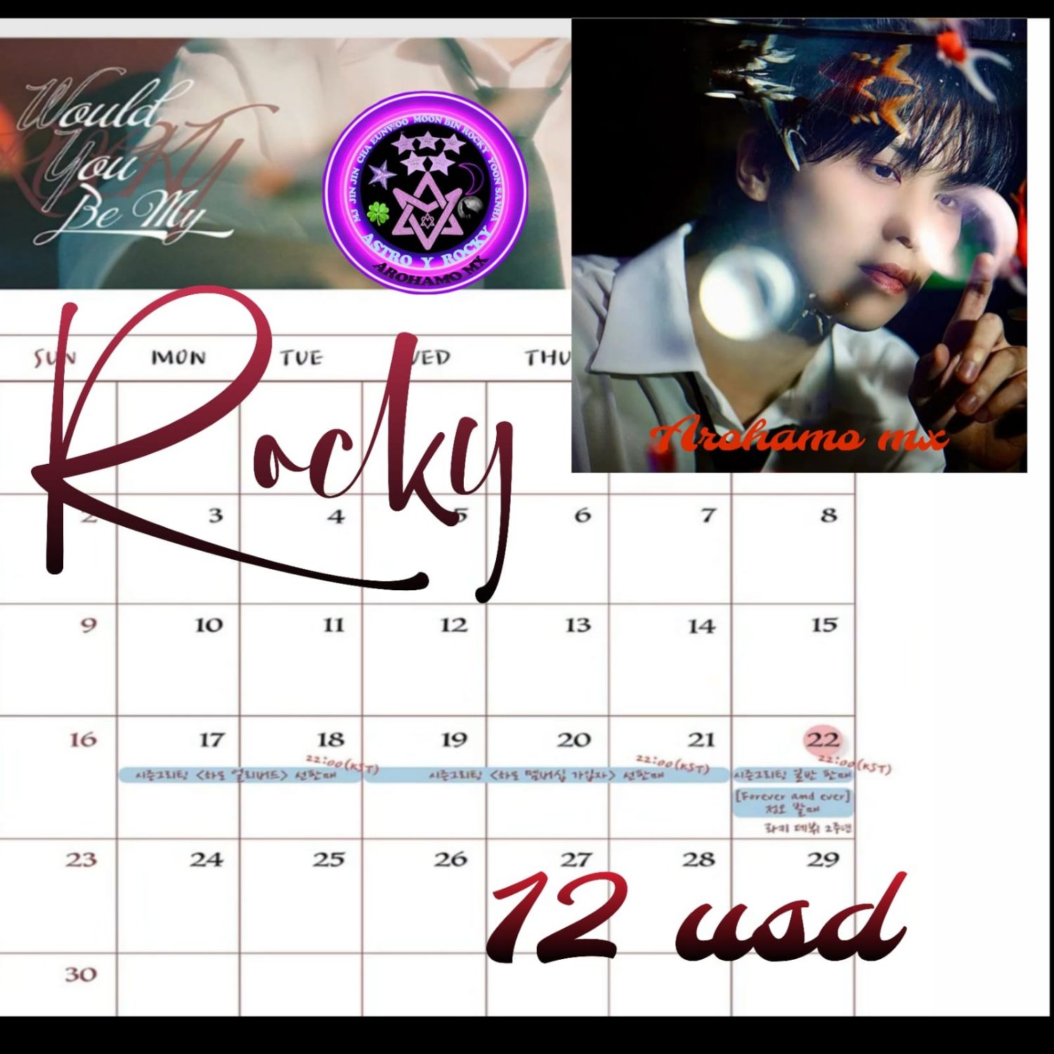 아스트로 팬이 찍은 순간