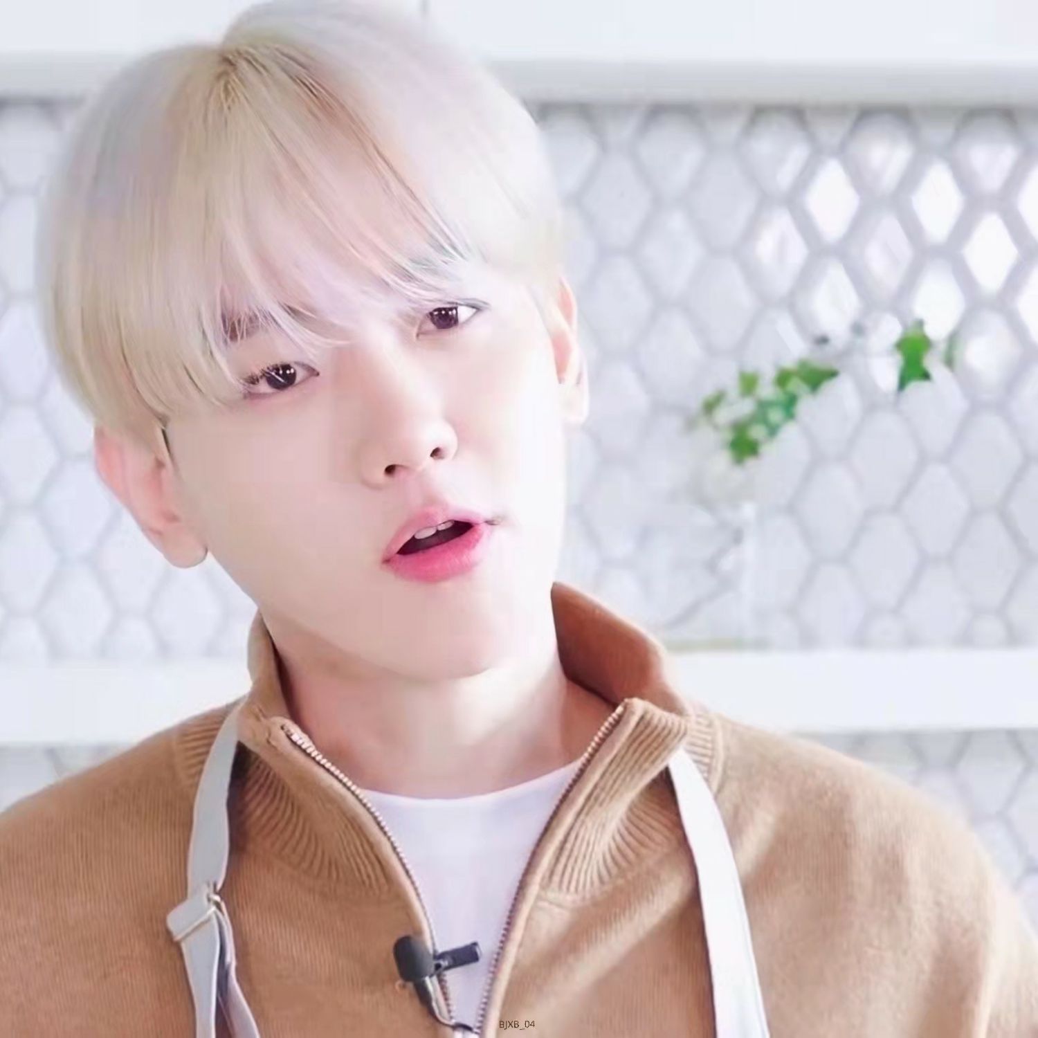 EXO 최근 활동샷