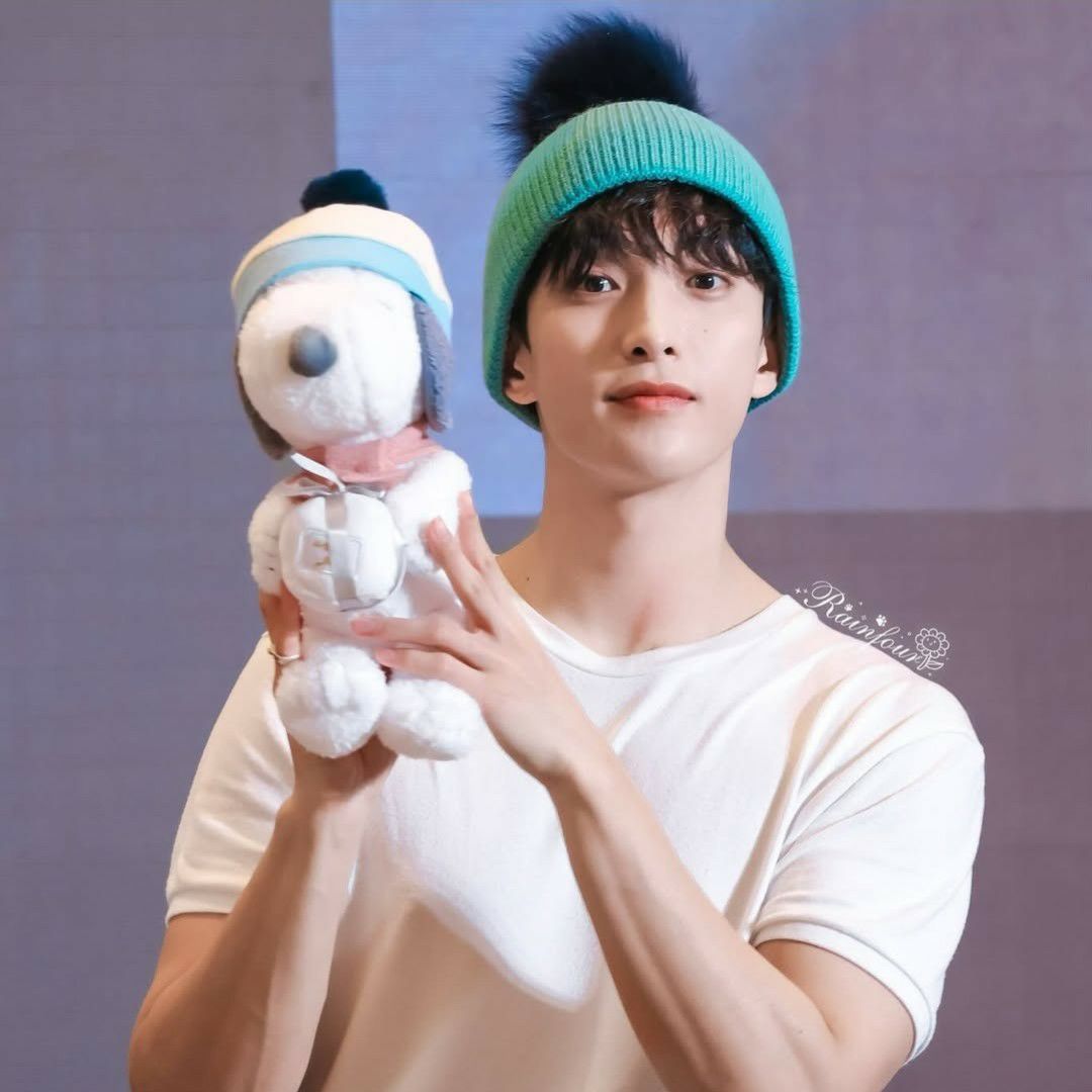A moment captured by DK (SEVENTEEN)'s fan
