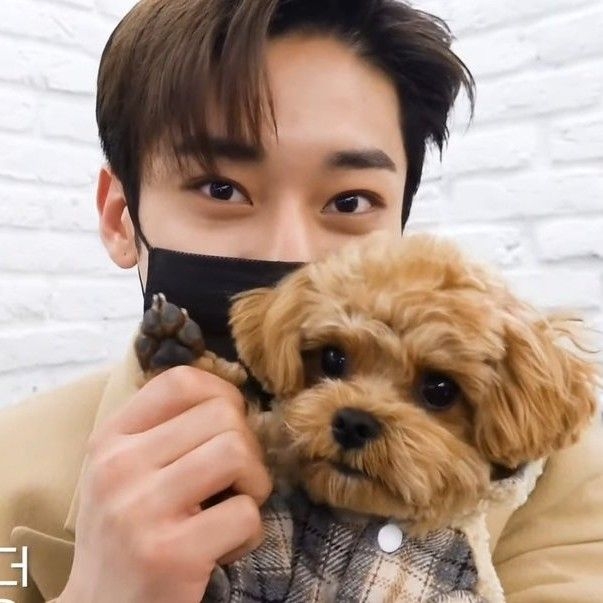 A moment captured by Kim Donghyun (AB6IX)'s fan