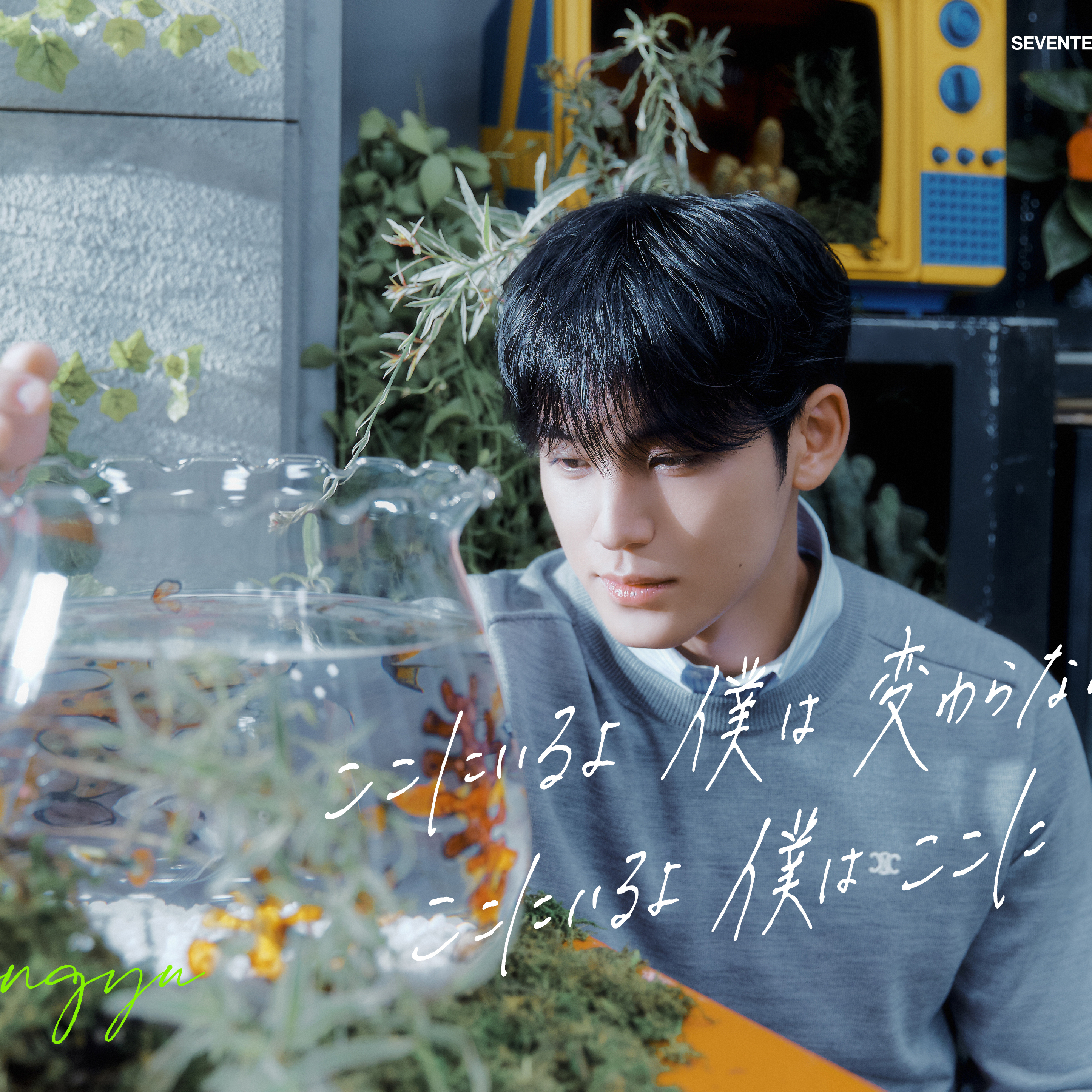 SEVENTEEN的最新照片