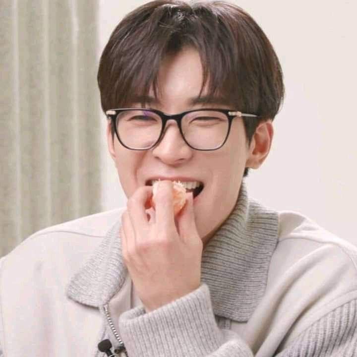 A moment captured by Wonwoo (SEVENTEEN)'s fan