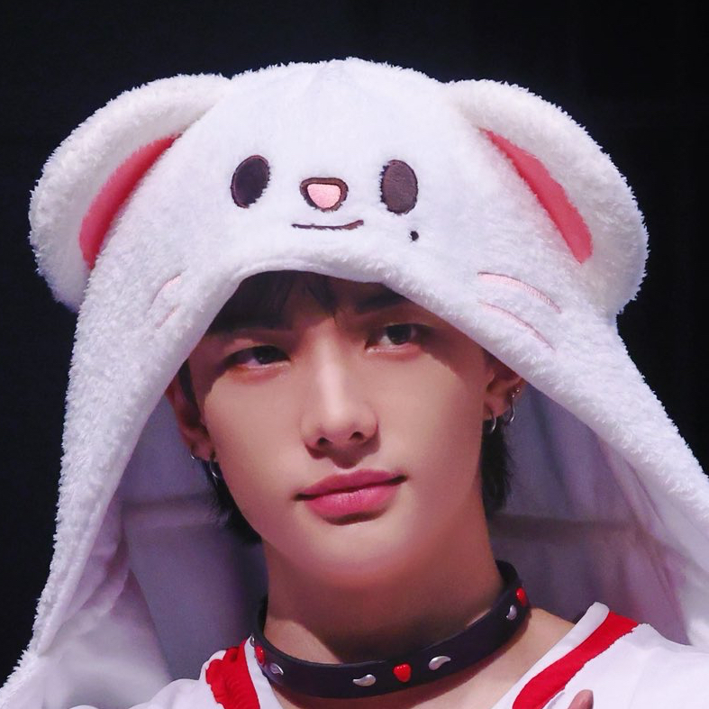 A moment captured by Hyunjin (Stray Kids)'s fan