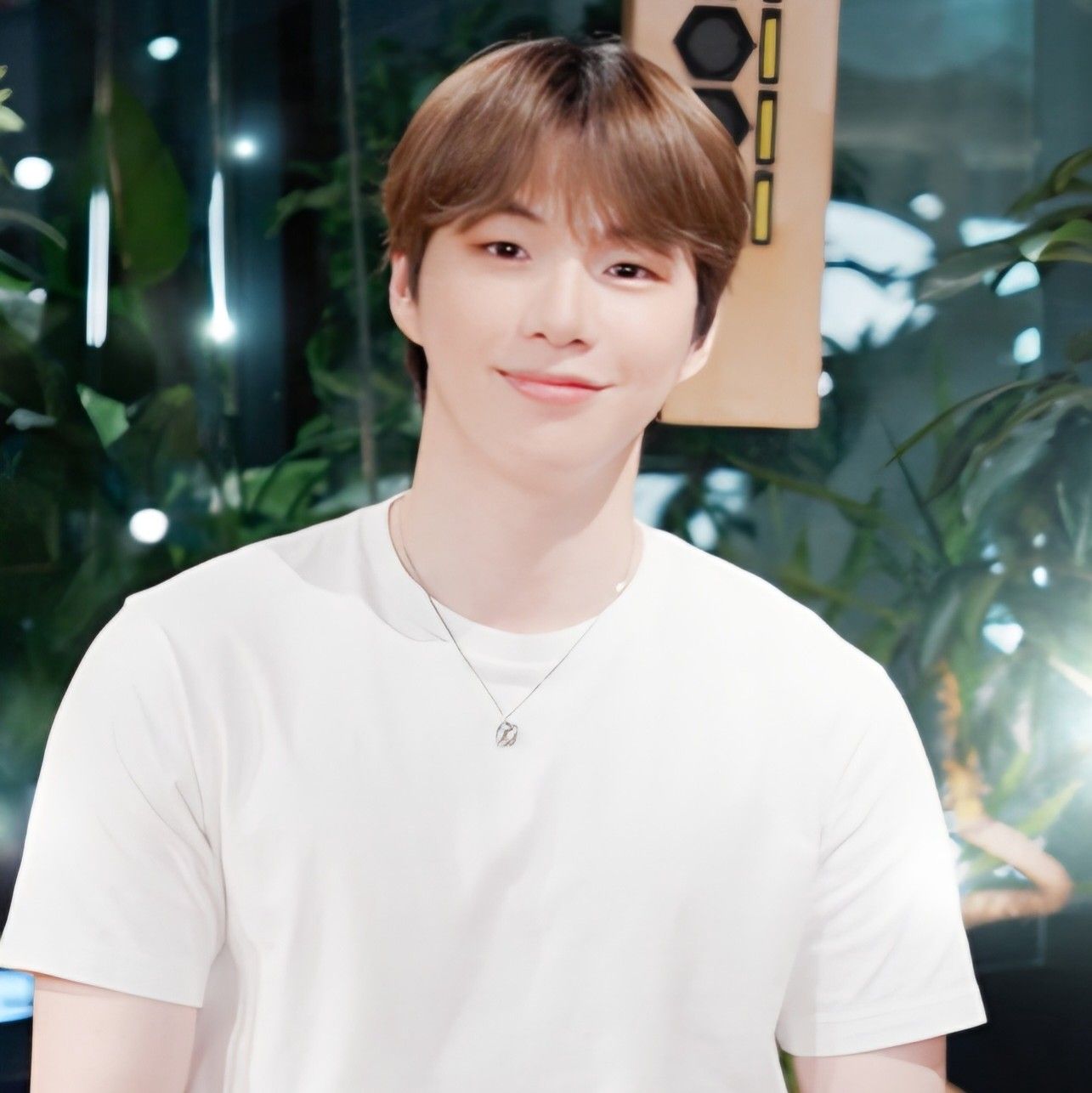 강다니엘 팬이 찍은 순간