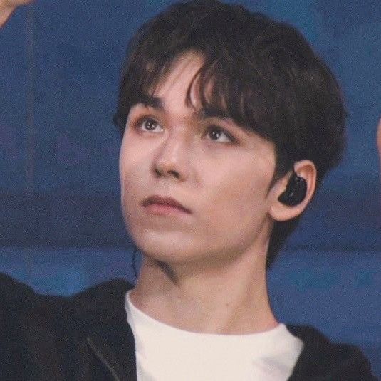 세븐틴 팬이 찍은 순간