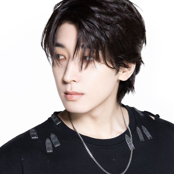 Recent activity shot of Wonwoo (SEVENTEEN)