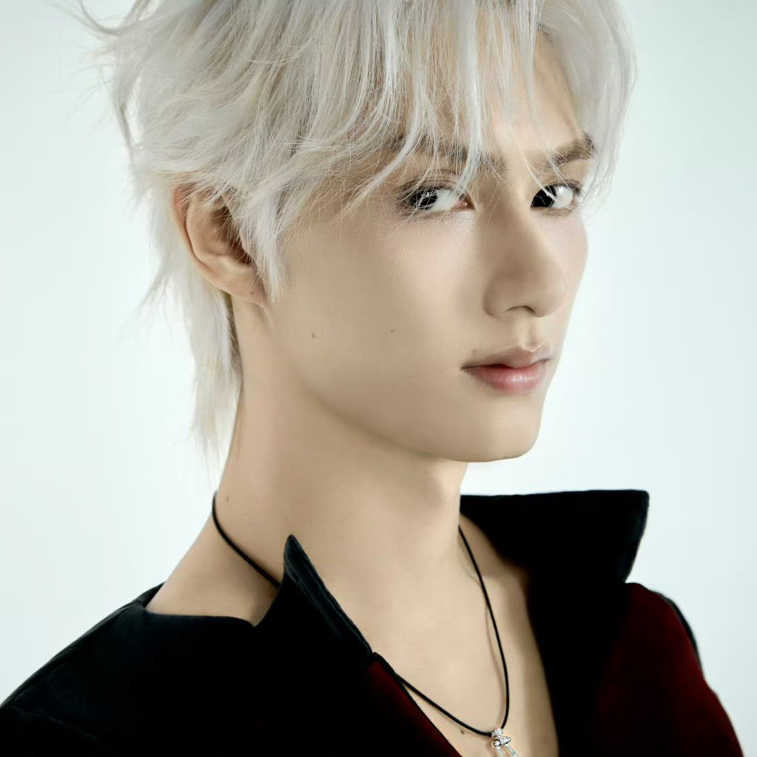 세븐틴 팬이 찍은 순간