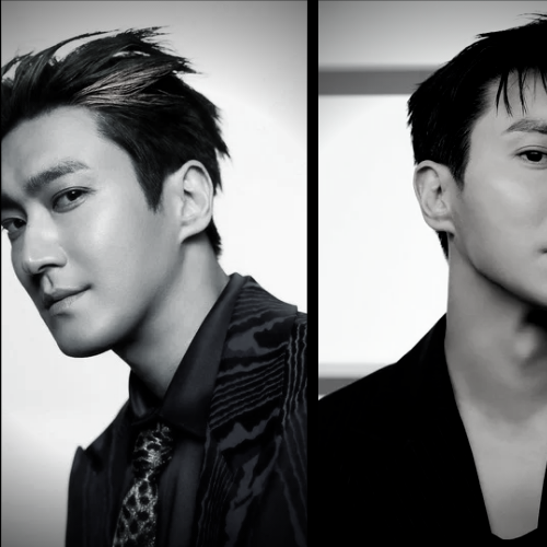 A moment captured by Siwon (Super Junior)'s fan