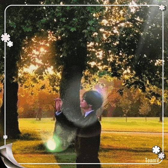 community_articles_contents