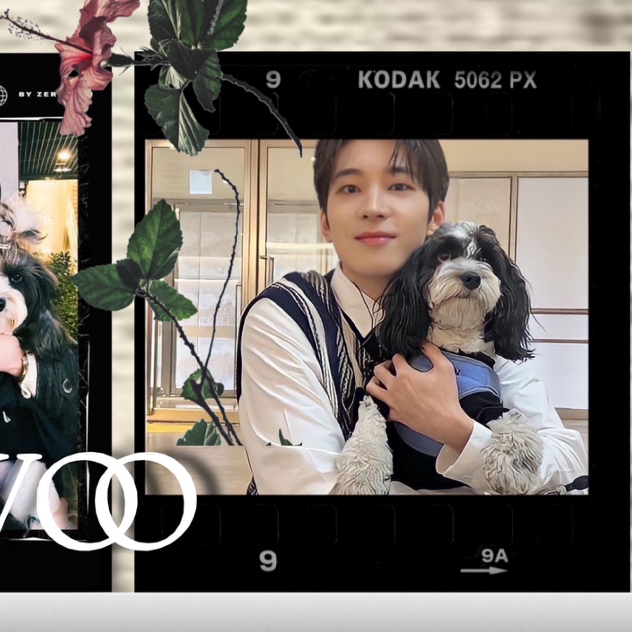 원우 (세븐틴) 최근 활동샷