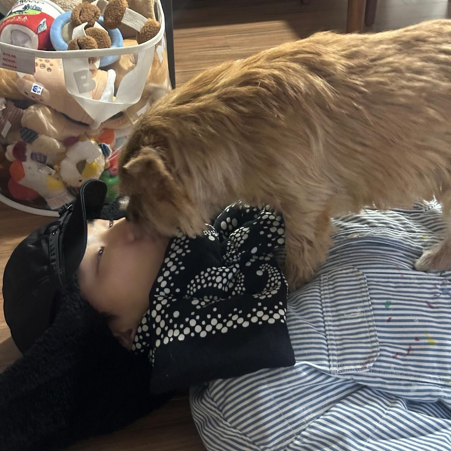 Hoshi (SEVENTEEN)的最新照片